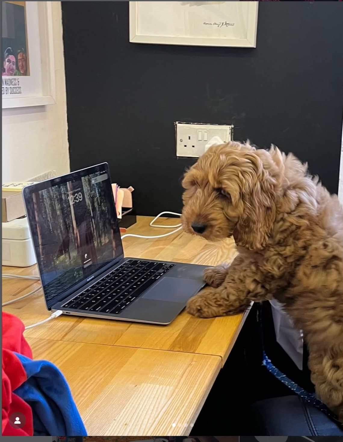 The Power of the Pause